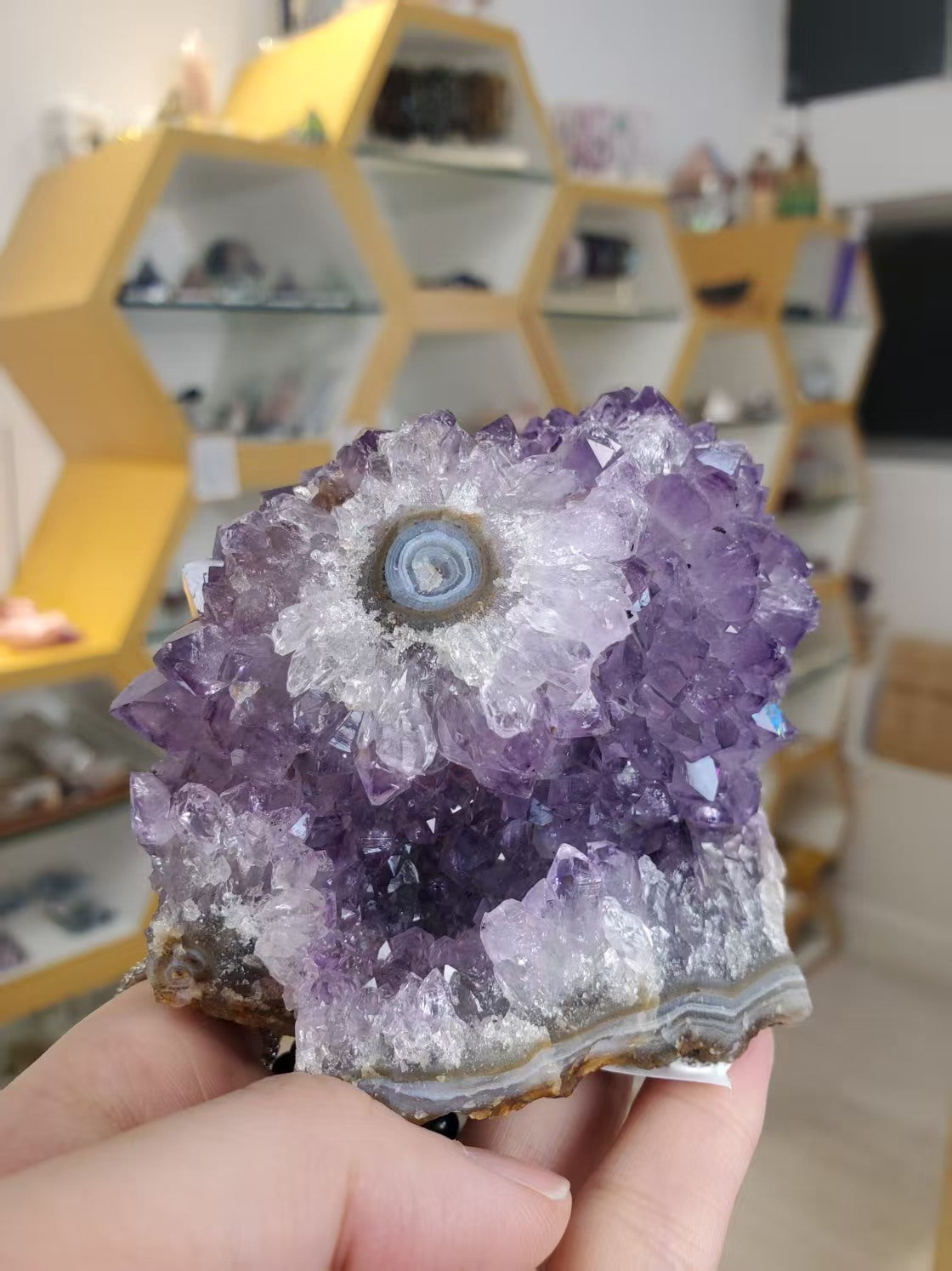 紫水晶鎮晶花財眼Size 385.5g 6x10.5cm – 紫森緣の塔羅水晶店Purple Forest